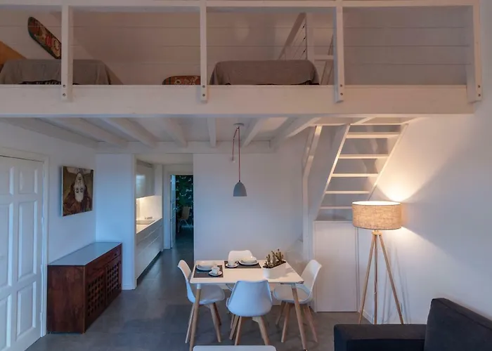 Leonardos * 코라레호